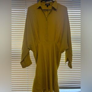 Express Shirt Dress